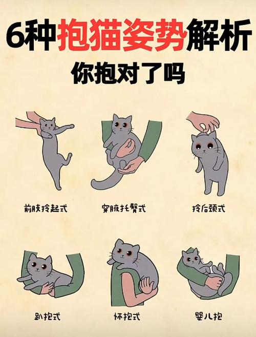 猫多久断奶