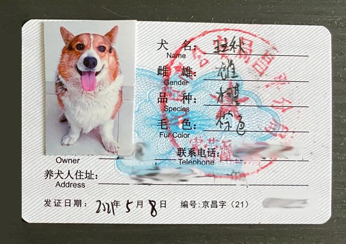 办一个养犬证多少钱,,