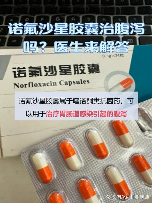 猫咪拉稀能吃诺氟沙星吗?