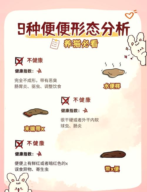 新猫到家一天拉一次屎正常吗?