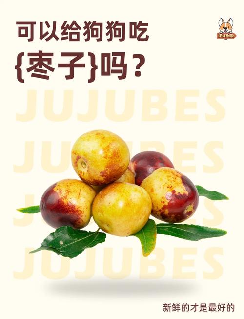 狗狗可以吃冬枣么