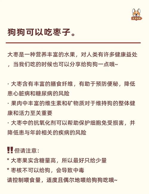 狗可以吃冬枣子吗