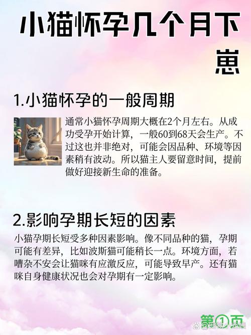 猫生产前几天开始找窝