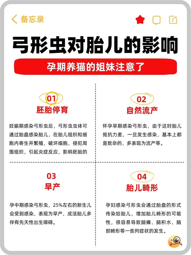 家里养着小狗,怎么避免孕妇感染弓形虫