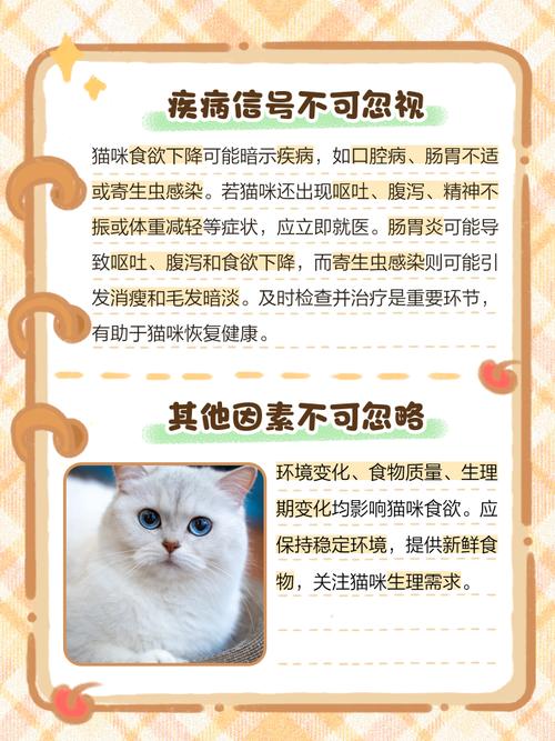 猫咪食欲下降是什么原因?