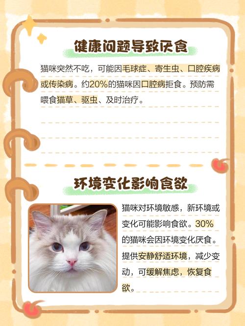 猫咪为什么厌食
