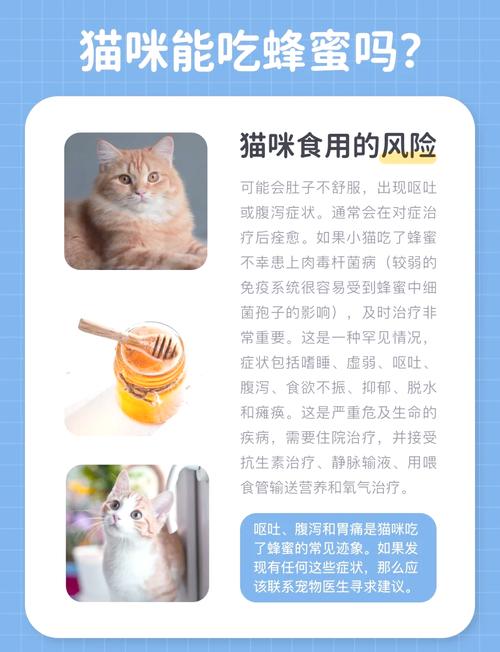 猫咪喝蜂蜜水会有哪些好处?