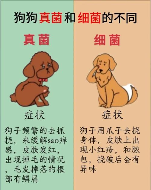 七八个月宝宝家里养有一条狗吸进去狗毛好吗