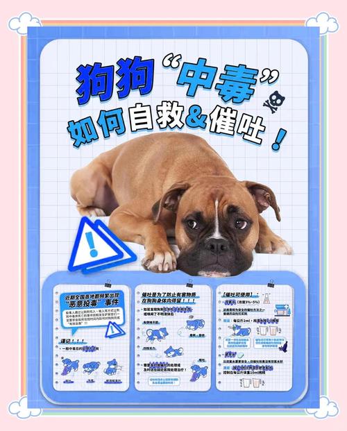 给狗狗喂了999感冒灵没事吧