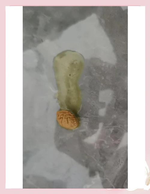 狗狗能吃核桃吗,它今天吃了一块核桃,有没有事啊?