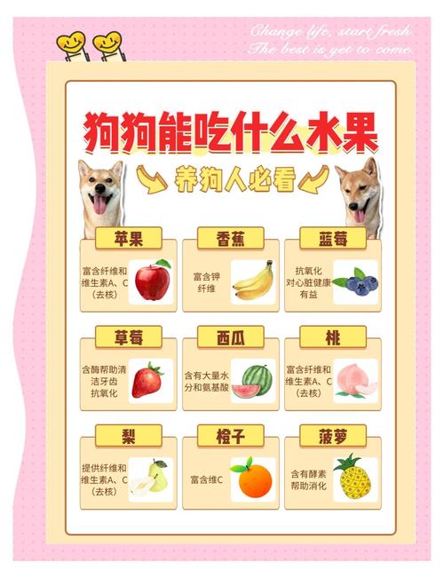 狗狗为什么不能吃芦笋