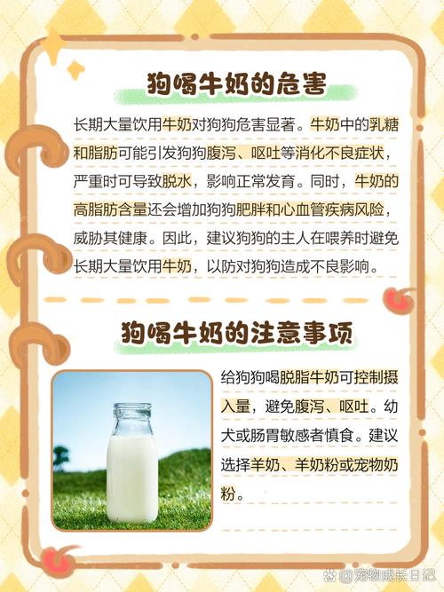 狗狗不小心把旺仔牛奶喝了怎么办?