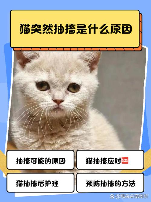 猫咪连续几天都抽搐流口水是癫痫吗?