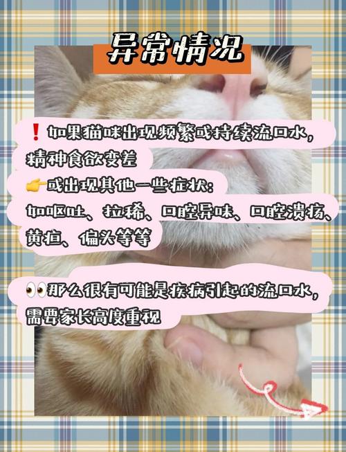 猫传腹抽搐流口水瘫软无力