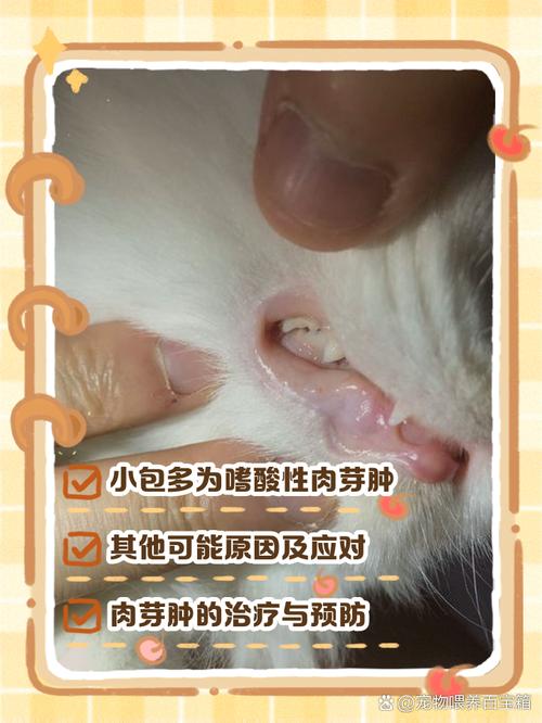 猫咪下嘴唇肉芽肿怎么治