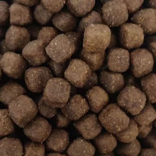 狗狗结膜炎用什么药最管用