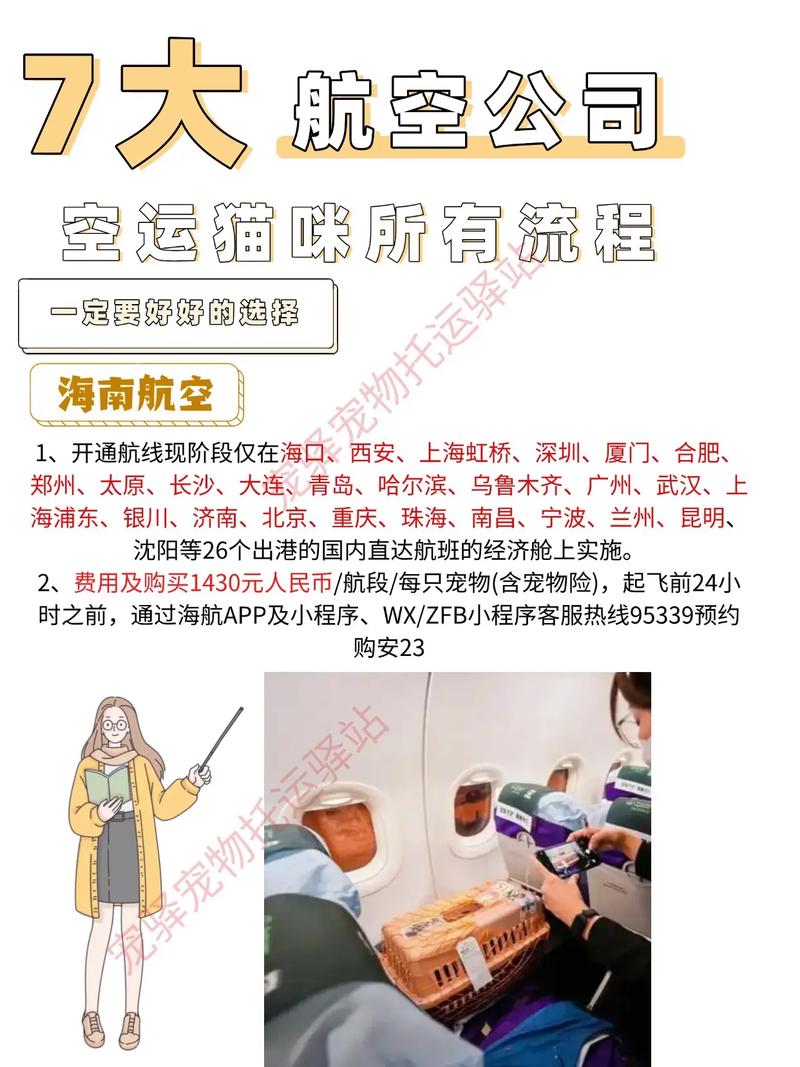 猫咪坐飞机需要办理哪些手续