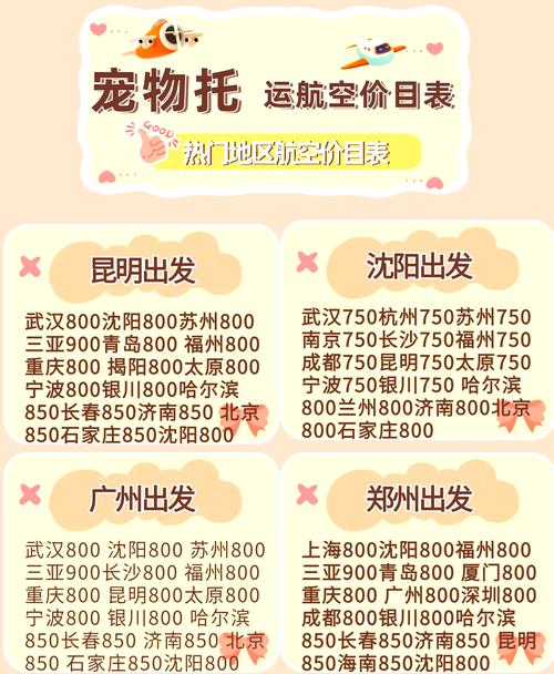 猫坐飞机死亡率