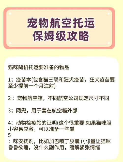 宠物猫可以坐飞机吗?