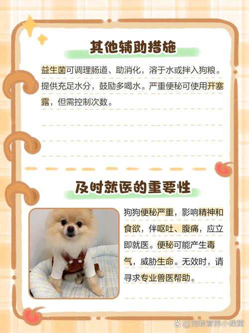 新生小狗如何刺激排便?