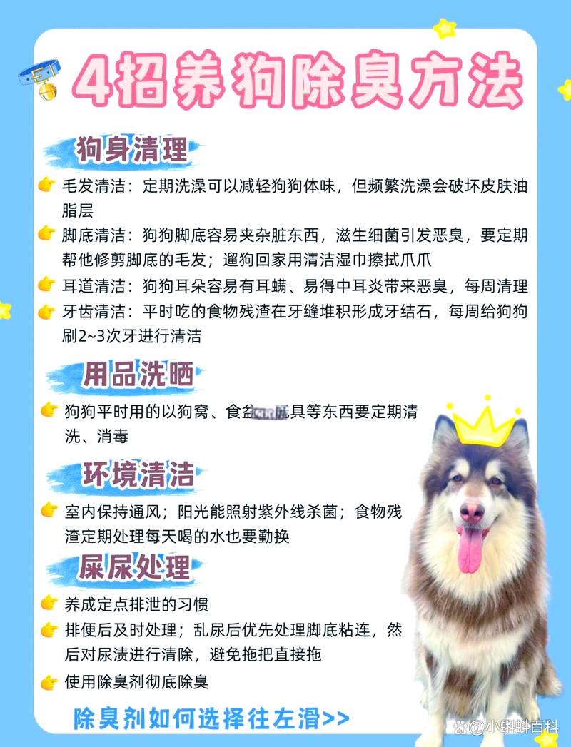 狗身上味道重怎么去除