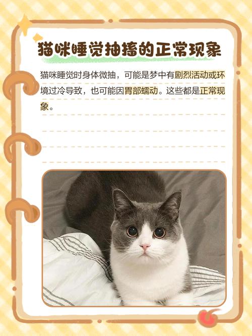猫睡觉时抽搐怎么回事