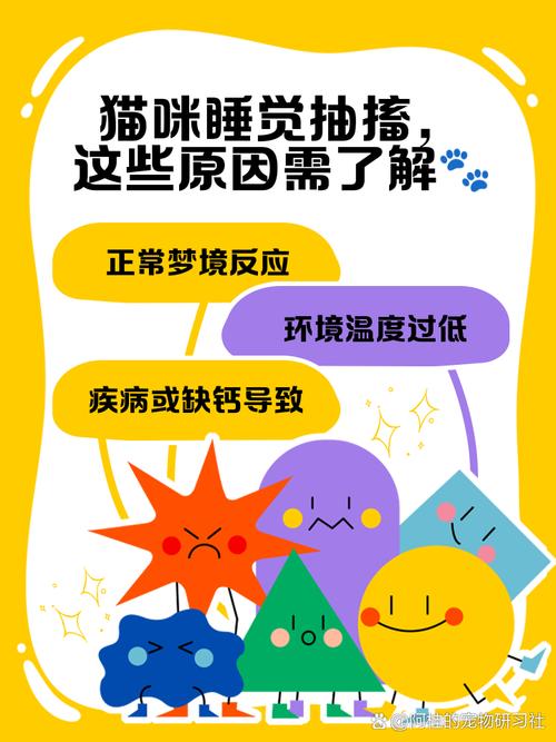 猫咪浑身抽搐腿乱蹬(猫咪间歇性抽搐尿失禁)