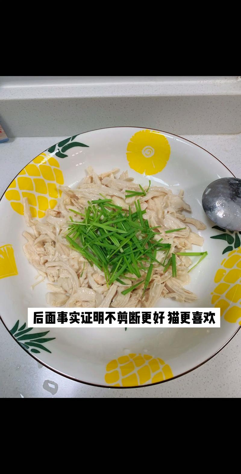 给猫煮鸡胸肉要加盐吗
