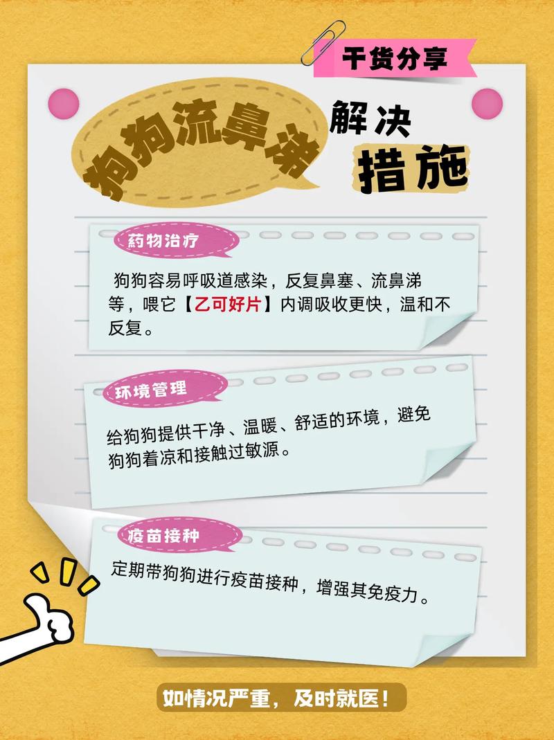 狗狗轻微流鼻涕怎么办