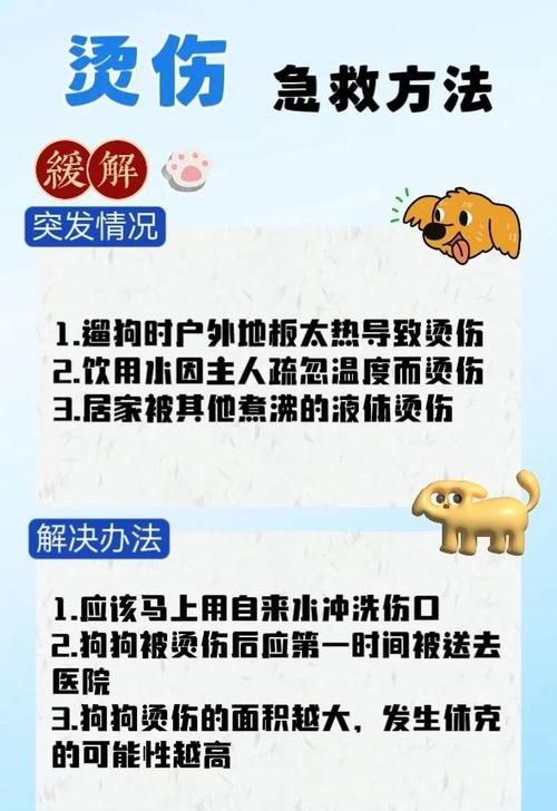 狗狗挫伤的原因与治疗方法