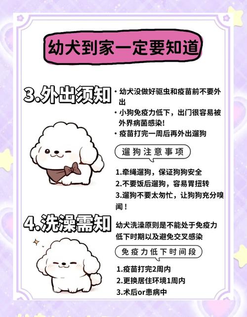 新养小狗狗注意些什么