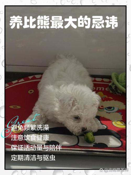 家里有小孩养小狗要注意什么