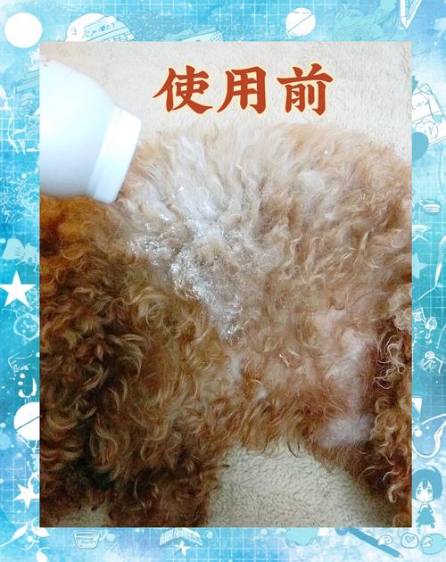 自制狗狗干洗粉的两种方法