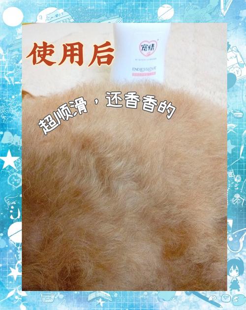 幼犬是干洗粉好还是干洗泡沫好