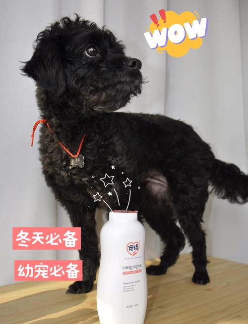 狗狗干洗粉怎么用