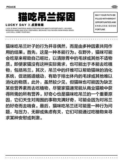 猫咪为什么爱吃草,吃草对它们有什么诱惑力?