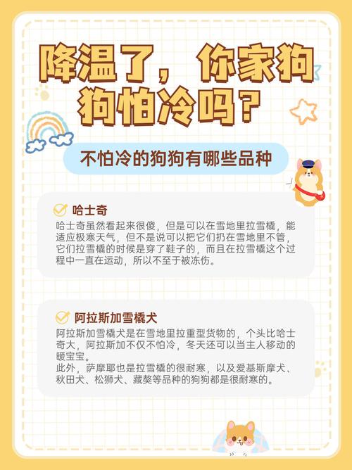 狗狗怕冷吗能承受最低温度是多少