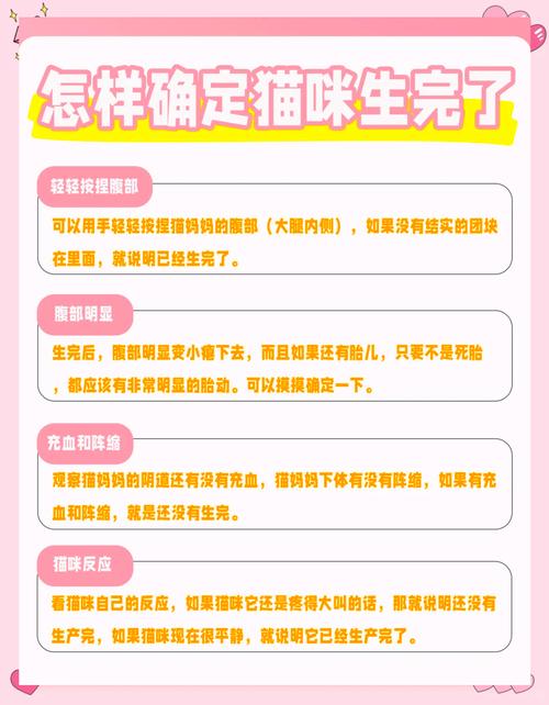 猫刚生完第一天需要注意什么事项