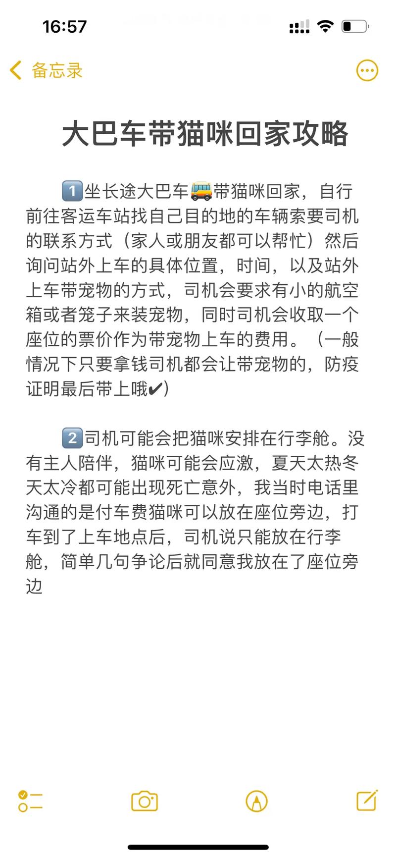 长途汽车猫能过安检吗怎么把宠物带回家