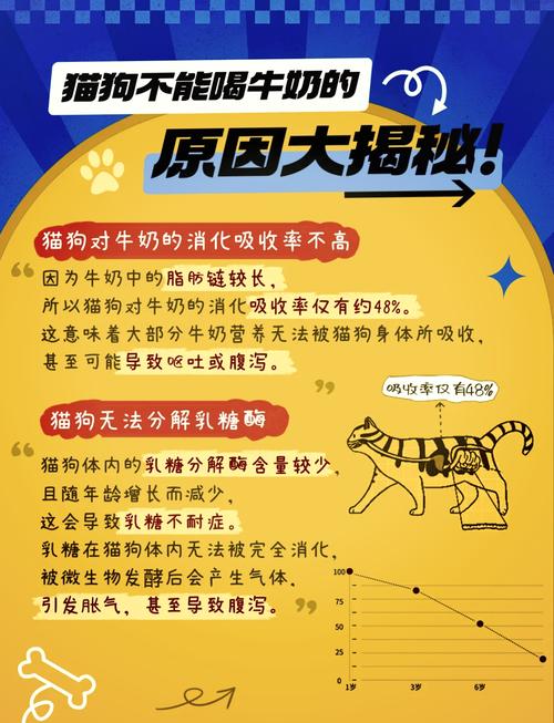 猫咪可以喝纯牛奶吗
