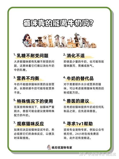 三个月的小猫咪能喝牛奶吗?为什么?