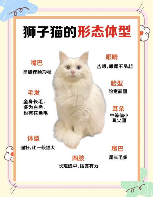 猫咪白内障症状与治疗方法