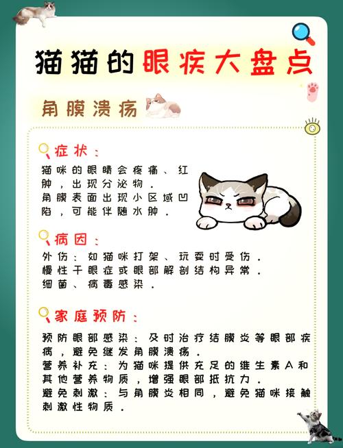 猫咪的眼病症状及对应治疗方法-白内障