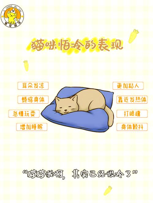 怎样帮助猫咪御寒