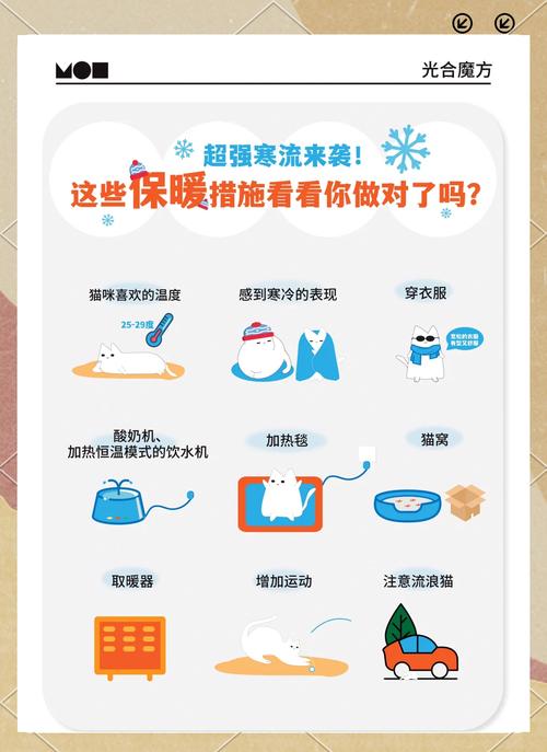 如何给猫咪保暖