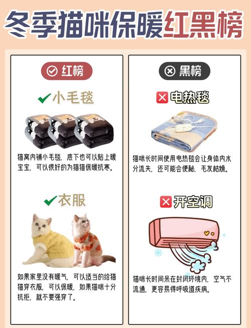 猫咪怎么保暖最有效