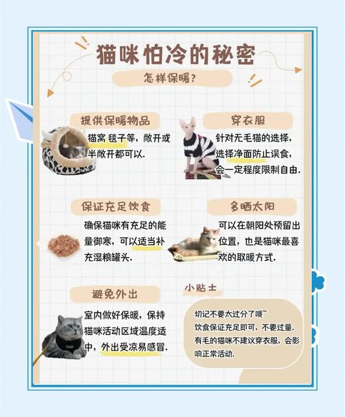 猫为什么怕冷?哪些猫更怕冷?