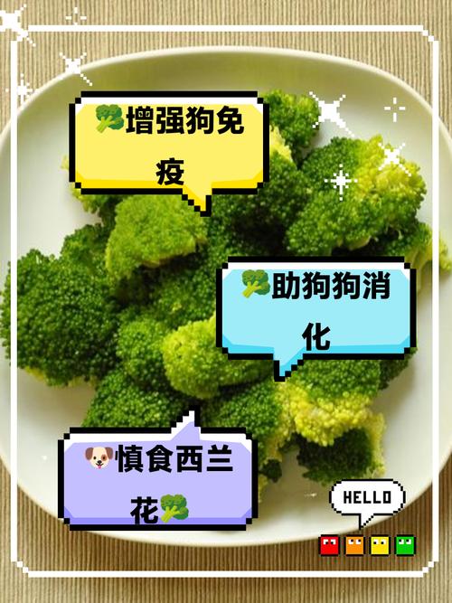 狗狗不能吃西兰花吗