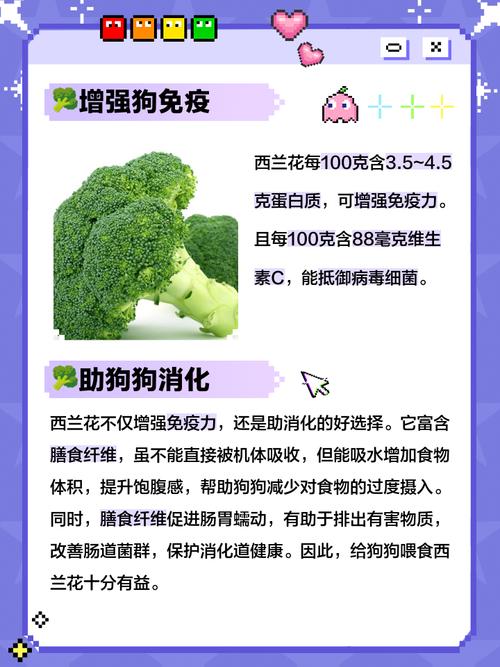 西兰花可以给狗狗吃吗