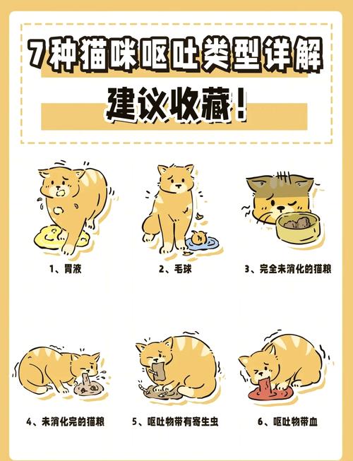 猫突然吐了一大堆未消化猫粮